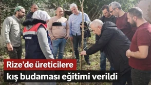 Rize'de Meyve Ağaçlarında Kış Budaması Eğitimi Başladı!