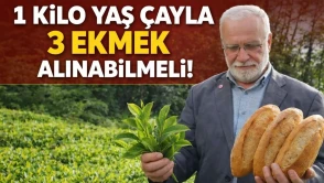 Saadet Partisi GİK Üyesi’nden Yaş Çay Fiyatı ve Rize Yatırımları İçin Çağrı