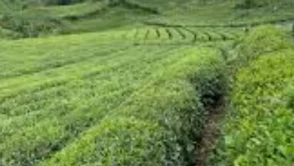 Rize’ye Taşınmak Mantıklı mı? 2026’da Yaşamın Artıları ve Eksileri