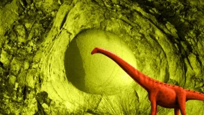 Dinozor yumurtası bulundu! 68 milyon yıldır toprağın altında gömülüydü