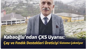 Kabaoğlu’ndan ÇKS Uyarısı: Çay ve Fındık Destekleri Üreticiyi Sisteme Çekmiyor