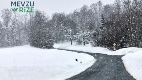 Şiddetli kar yağışı uyarısı: Tunceli, Bingöl ve Muş'a dikkat!