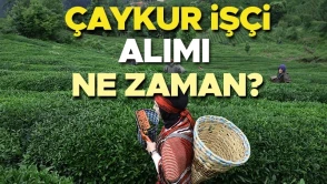 ÇAYKUR İşçi Alımı 2026 İçin Gözler Resmi Açıklamada: Başvurular Ne Zaman Başlayacak?