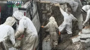ABD'de arı kovanı yüklü tır devrildi : 2 milyon arı çevreye saçıldı
