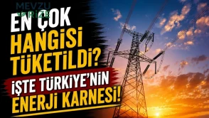 En çok hangisi tüketildi? İşte Türkiye'nin enerji karnesi!