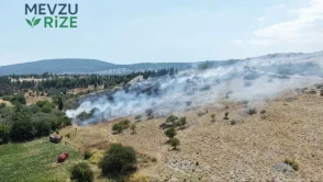 Muğla'da Alevlerle Mücadele: Orman Yangını Kontrol Altına Alınmaya Çalışılıyor