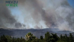 Fransa'da 1000 Hektarlık Orman Yangınında Kasıt İddiası Gündeme Geldi
