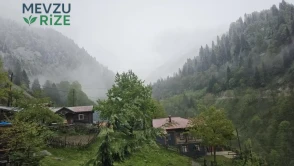 Türkiye'nin en serin 3 yaylası! Yazın sıcağından kaçanlar buraya akın ediyor