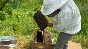 Artvin'de Bal Hasadı Öncesi Üreticilerle Buluşma Etkinliği Gerçekleşti!