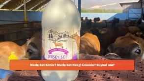 Meriç Süt Kimin? Meriç Süt Hangi Ülkenin? Boykot mu?