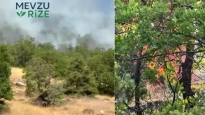 Diyarbakır'da alevlerin pençesinde örtü yangını: Geniş bir alan risk altında!