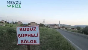 Ardahan'da Kuduz Tehdidi: Belirli Bir Bölge Karantinaya İndirildi