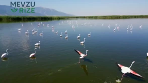 Eber Gölü'nde Renkli 'Allı Turna' Festivaline Davet!