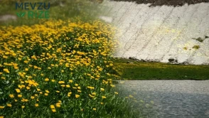 Hakkari'nin Eşsiz Doğası, Ziyaretçileri Büyülüyor!