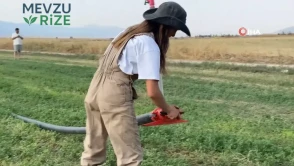 Burdur'da babasının kazasıyla çiftliğin yükünü sırtlayan genç kızın azmi örnek oluyor
