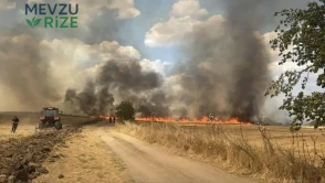 Edirne'de Meydana Gelen Yangın, 1500 Dekar Arazinin Kül Olmasına Neden Oldu!