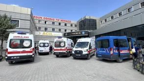 Van'da İki Kardeş, Serinlemek İçin Girdikleri Gölde Tragedyaya Yenik Düştü