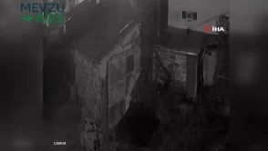 Açlık peşindeki kurt, köyde paniğe neden oldu: Köpeği hedef alarak ortalıktan yok oldu!