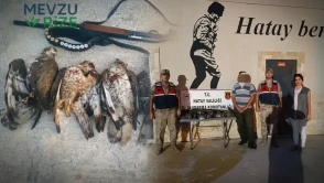Göç Halindeki Kuşları Avlayıp Cezadan Kaçamayan Avcı!