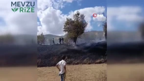 Bitlis'in Hizan İlçesinde Alevler Yeniden Yükseliyor: Yangın Kontrol Altına Alınamadı