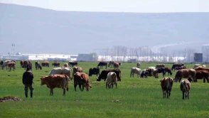 Erzurum'da Kırsal Kalkınma Hibe Sonuçları Açıklandı: 329 Projeye 171,3 Milyon TL Destek