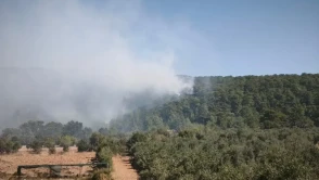 Muğla'da orman yangını: Alevler Menteşe'den Ula'ya ulaştı! Kara yolu trafiğe kapatıldı