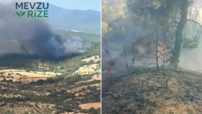 Çanakkale'de Yüksek Alevler Korkuttu: 8 Hektar Orman Alanı Yok Oldu