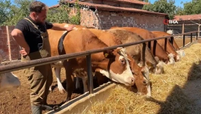 Memuriyetten Vazgeçip Hayallerinin Peşine Düştü: Kendi Çiftliğini Kurdu!