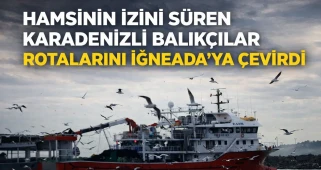 Balıkçılar, hamsi avlamak için rotalarını İğneada açıklarına çevirdi!