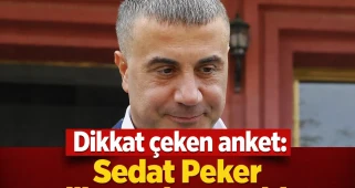 Dikkat çeken anket: Sedat Peker ilk sırada yer aldı
