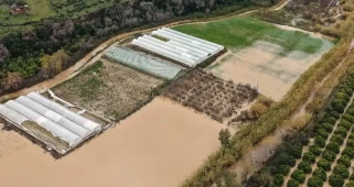 Antalya'daki kötü hava, 300 milyon TL'lik tarımsal zarara yol açtı; kalıcı destek çağrısı yapıldı