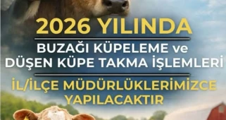 Aydıntepe İlçe Tarım ve Orman Müdürlüğü’nden Buzağı Küpeleme Duyurusu