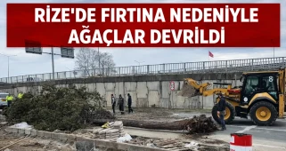 Rize’de Fırtına Nedeniyle Ağaçlar Devrildi