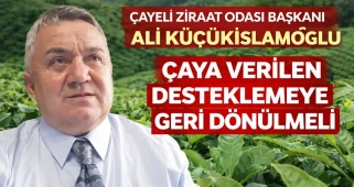 Çayeli Ziraat Odası Başkanı Ali Küçükislamoğlu “Çaya verilen desteklemeye geri dönülmeli”