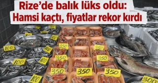 Rize’de balık lüks oldu: Hamsi kaçtı, fiyatlar rekor kırdı