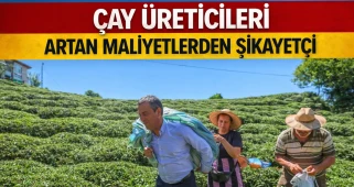 Rize'de Çay Üreticileri, Artan Maliyetlerle Zor Günler Yaşıyor!