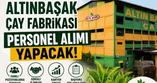 Altınbaşak Çay Fabrikası Personel Alımı Yapacak
