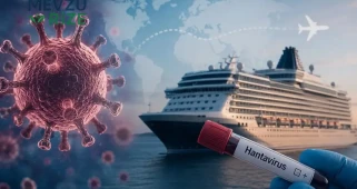 Hantavirüs Nedir ve Bulaşma Yolları: Belirtileri ve İnsandan İnsana Yayılma İhtimali
