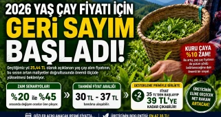 2026 Yaş Çay Fiyatı İçin Geri Sayım Başladı: Üretici 35-39 TL Bandını Bekliyor