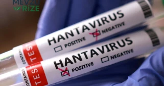 Hantavirüsün ilk belirtileri neler? Sessiz başlıyor, hayati tehlikeye dönüşebiliyor!