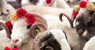 Kurban vekaleti nasıl verilir? Kurban vekaleti kimlere verilebilir, şartları ne?