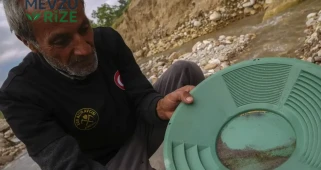 Sosyal Medyadaki Viral 'Kırıntı Madenciliği' Videoları: Gerçekle Bağlantısı Nedir?