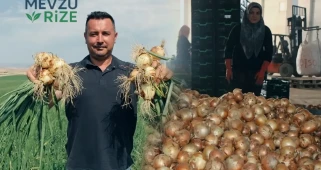 Soğan Fiyatlarında Son Durum: Üreticiler Önümüzdeki 15 Günü İşaret Ediyor