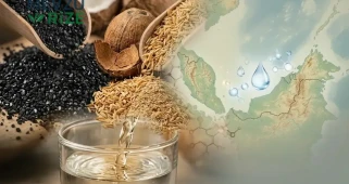 Musluk Suyunu Ücretsiz Filtrelemenin Yolu Bulundu! Arıtma Cihazlarına Alternatif Olabilir