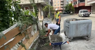 Arhavi Belediyesi'nden Menfez Temizliği! Boğaziçi ve Musazade Mahallelerinde Çalışmalar Sürüyor