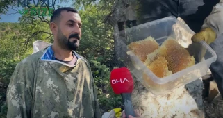 Su Kaynaklarını İzleyerek Zirvelere Tırmanıyorlar: Ağaç Kovuğunda Bulunan Altın Gibi Hazine