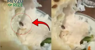 Kahvaltı için gitti, gördükleri karşısında donakaldı: Canlı canlı hareket ediyordu... Mide bulandıran anlar kamerada