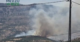 Adıyaman'da Yeni Yangın Alarmı: Ormanlar Küller İçinde!