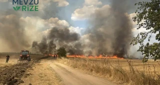 Edirne'de Meydana Gelen Yangın, 1500 Dekar Arazinin Kül Olmasına Neden Oldu!