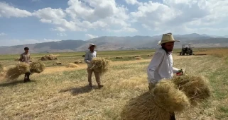 Hakkari’de çiftçilerden sondaj talebi... Su tarlaya ulaşmıyor, verim düşüyor